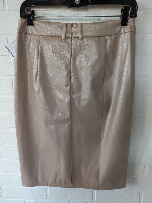 women's mini skirtsBrown Skirt Midi Clothes Mentor, Size 8